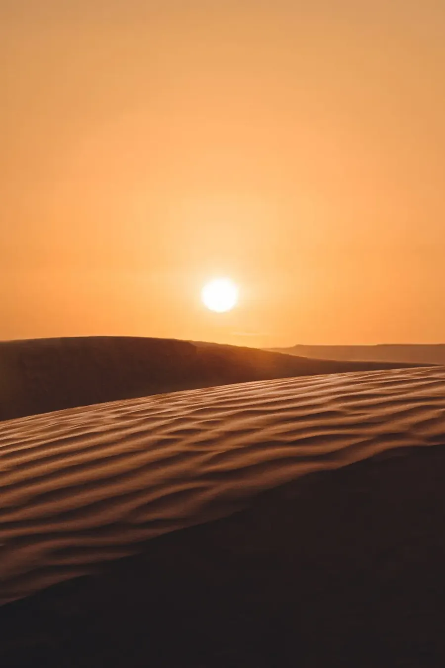 Dunes du Grand Erg oriental à Ksar Ghilane