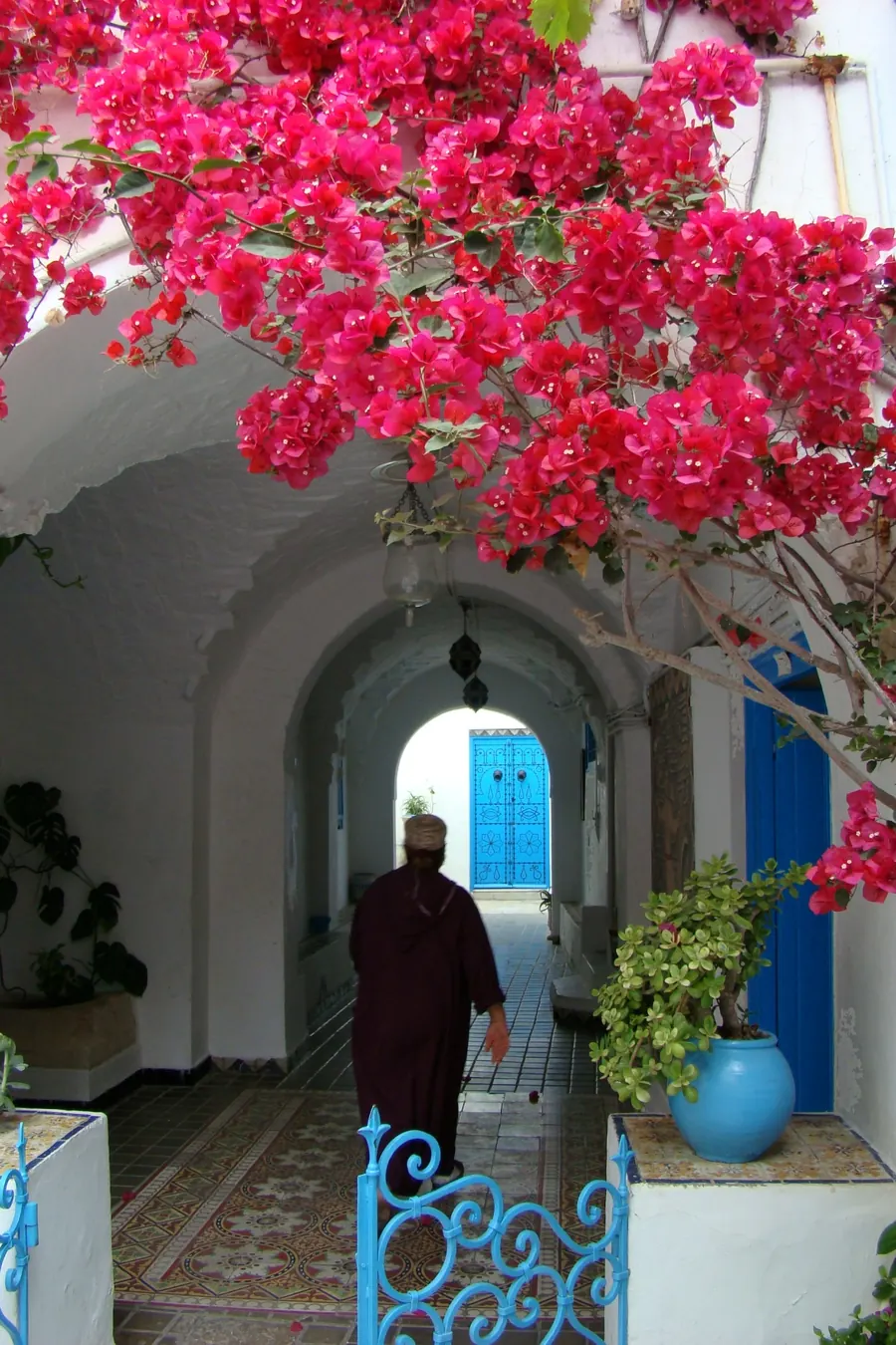 Ruelle bleue et blanche de Sidi Bou Saïd