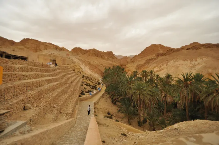 Désert tunisien