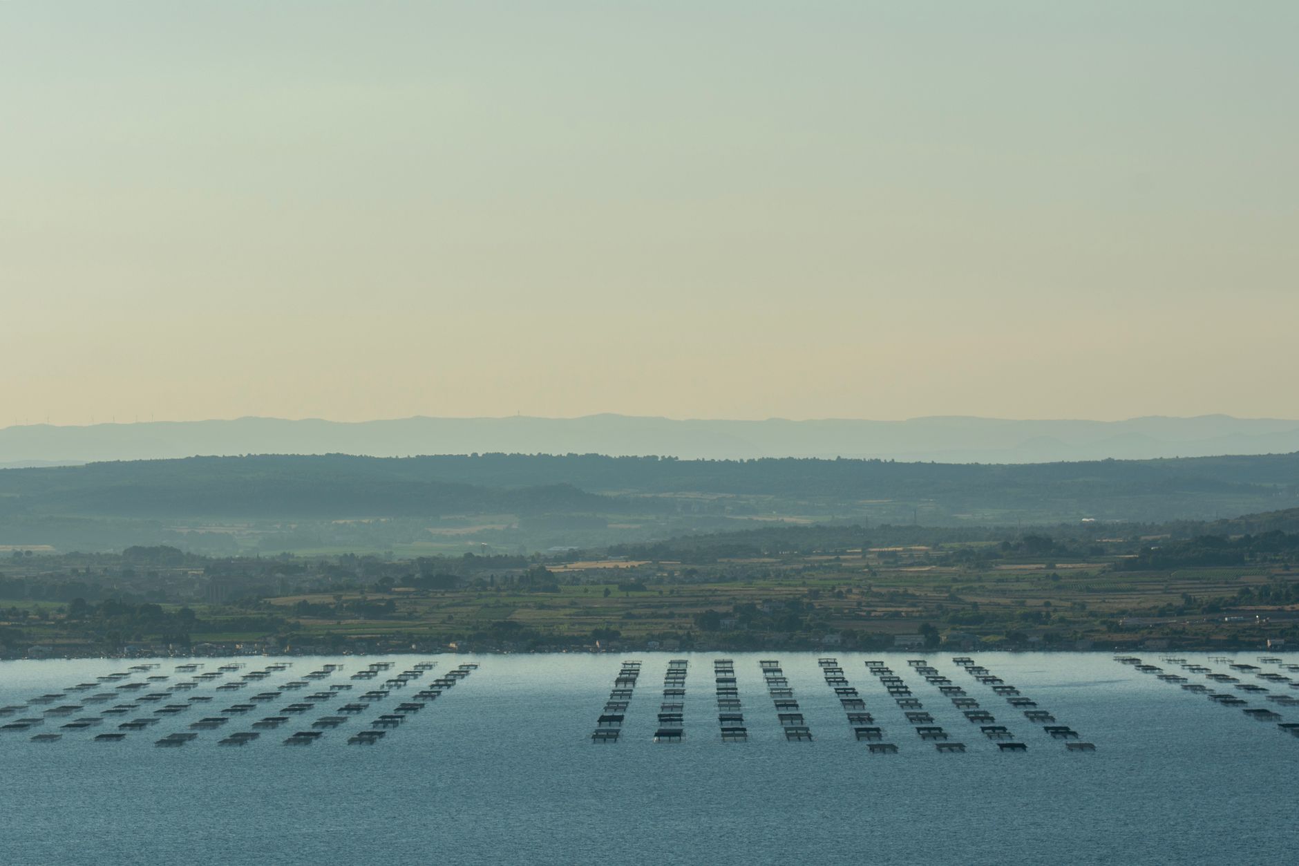 Sécheresse : les agriculteurs face à la crise de la Garonne