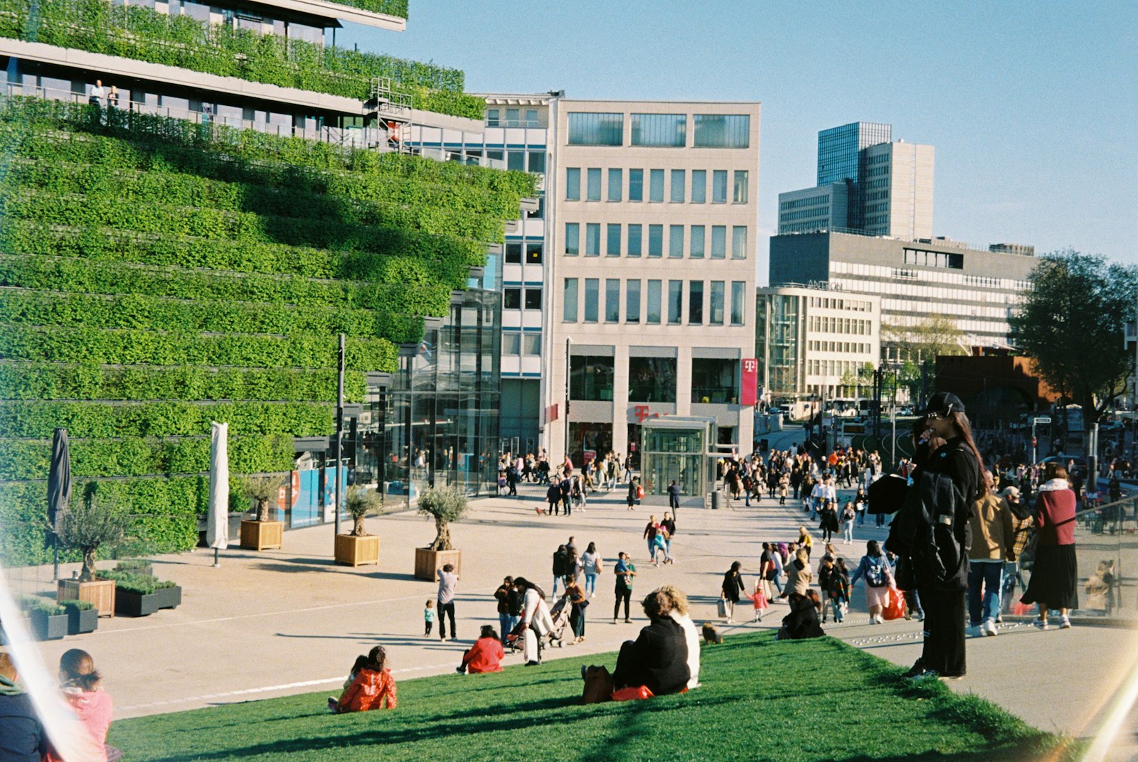 Pourquoi nos villes ignorent-elles les solutions contre la chaleur ?