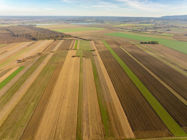 El Niño : la menace invisible qui pourrait faire flamber vos courses
