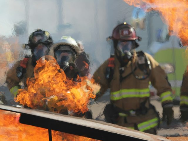 Depuis 100 000 hectares brûlés, les pompiers français crient leur désespoir