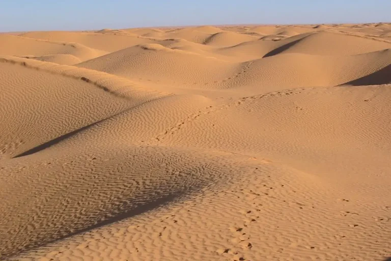 dunes du Grand Erg Oriental près de Ksar Ghilane, Sud tunisien