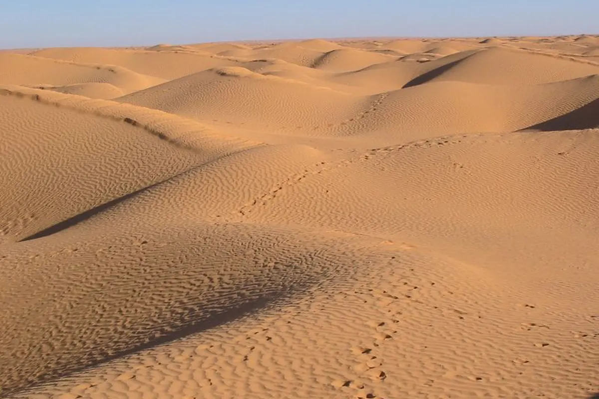 dunes du Grand Erg Oriental près de Ksar Ghilane, Sud tunisien