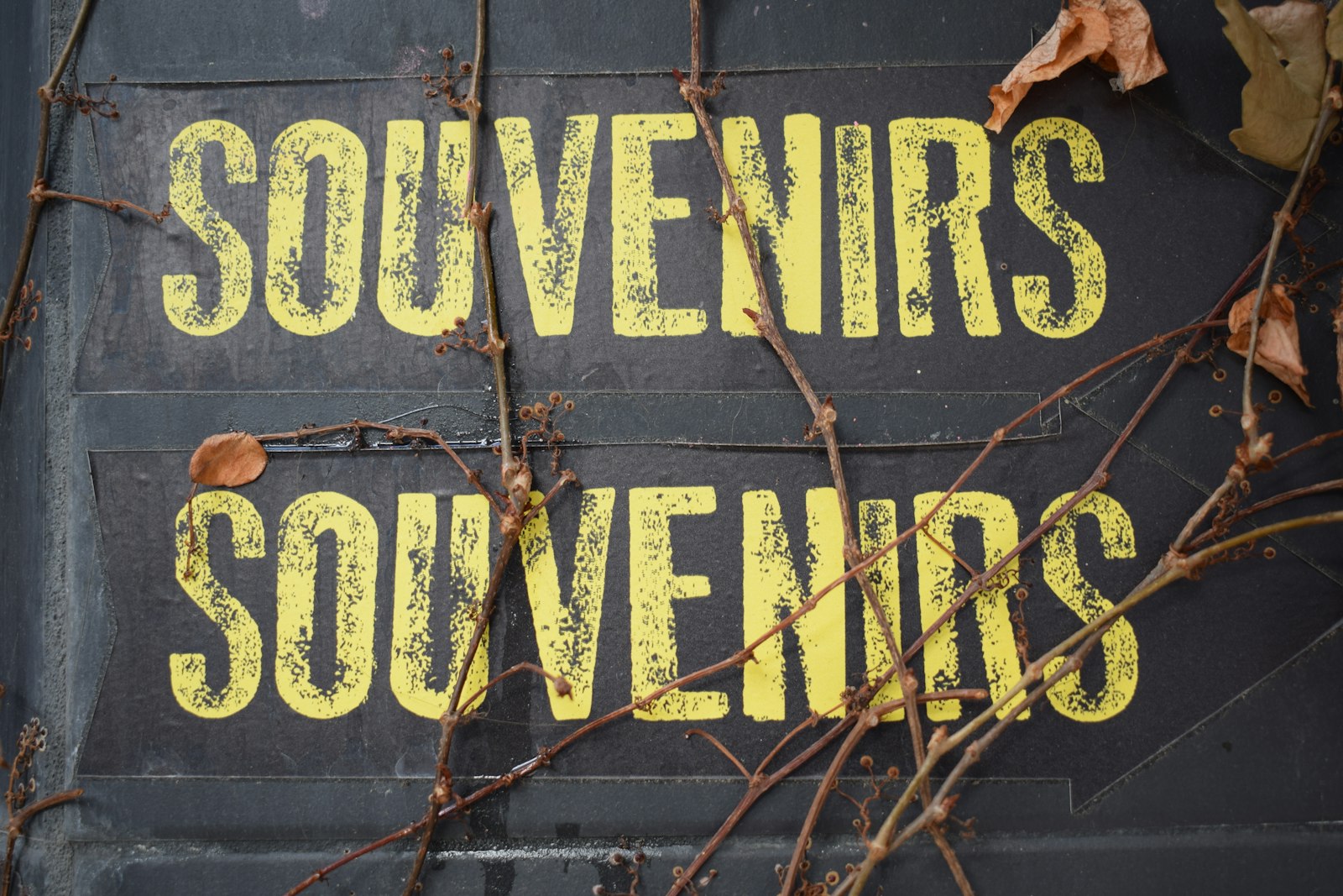 COP : Comment réduire 500 milliards de subventions néfastes à la biodiversité ?