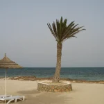 plage calme et déserte à Djerba, palmier et transats hors saison