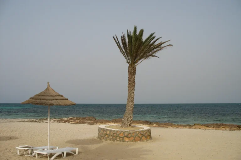 plage calme et déserte à Djerba, palmier et transats hors saison
