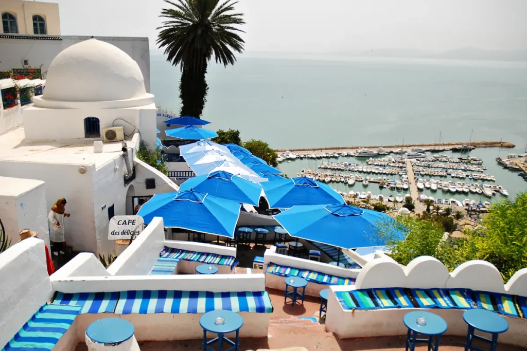 vue depuis Sidi Bou Saïd sur le port de plaisance et le golfe de Tunis