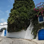 ruelle blanche et bleue de Sidi Bou Saïd, bougainvillier et porte bleue sculptée