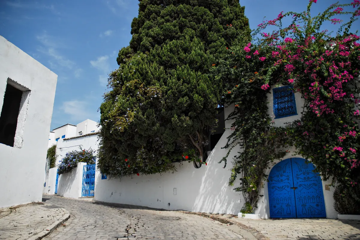 ruelle blanche et bleue de Sidi Bou Saïd, bougainvillier et porte bleue sculptée